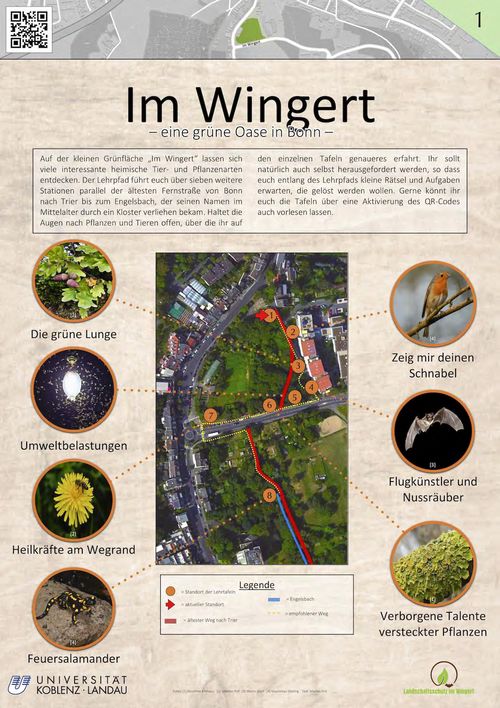 Naturpädagogische Führung Im Wingert
