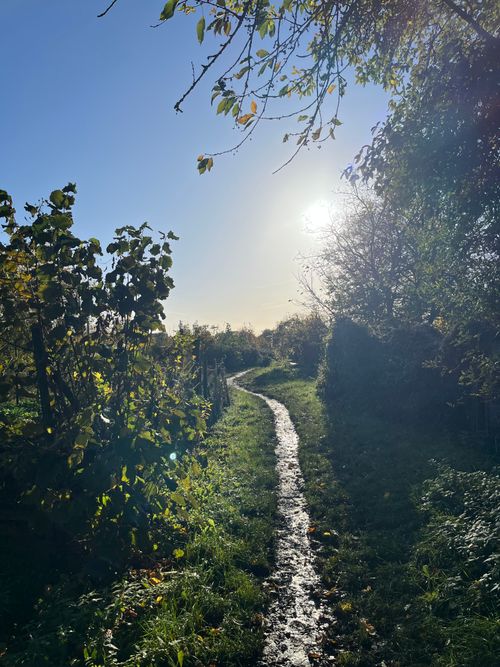 Das Landschaftsschutzgebiet Lausacker im Herbst - Biodiversitätsschutz und Stadtnatur vor der Haustür