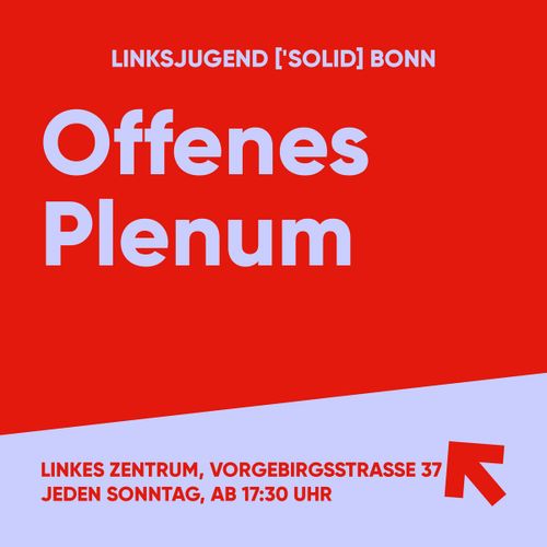 Offenes Plenum Linksjugend ['solid]