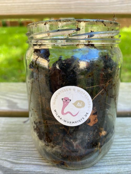 Workshop im Garten der Bildung: Wurmkisten-Bau