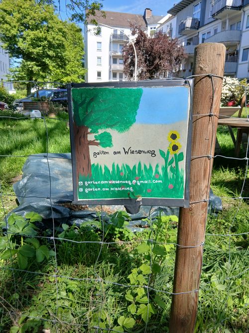 Zu Besuch im Garten am Wiesenweg: Ein Beitrag zur biologischen Vielfalt im Veedel