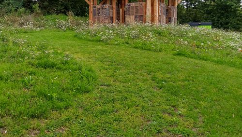 VHS-Vortrag: Aktion "Mähfreier Mai" :
Blumenkräuterrasen von Francis Hugenroth